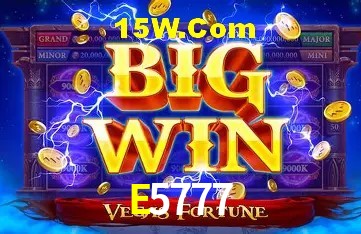 Login Seguro E5777